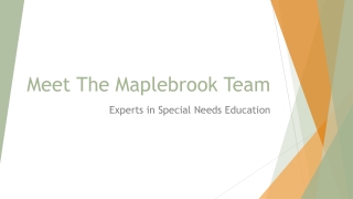 Meet the Maplebrook Team: Experts in Special Needs Education