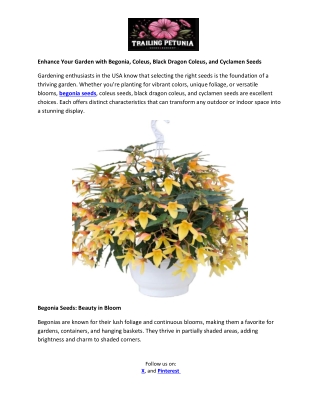 TP Bulk Seeds - Coleus Seeds