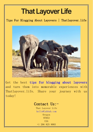 Tips For Blogging About Layovers  Thatlayover.life