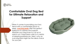 Comfortable Oval Dog Bed for Ultimate Relaxation and Support