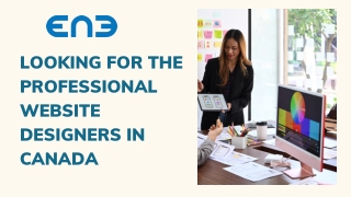 Looking For The Professional Website Designers In Canada