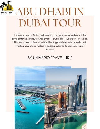 Abu Dhabi in Dubai Tour