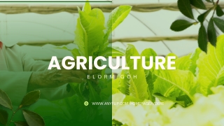 Elorm Goh: Transforming Agriculture Through Innovation
