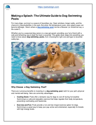 The Ultimate Guide to Dog Swimming Pools