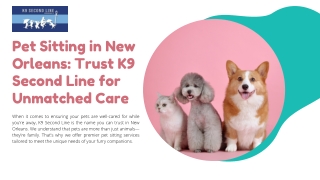 Reliable Pet Sitting in New Orleans with K9 Second Line