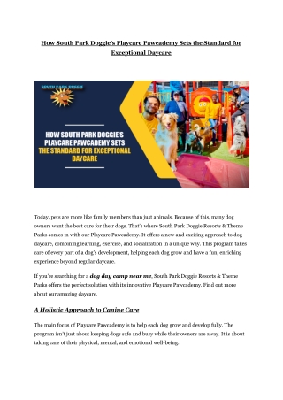 How South Park Doggie's Playcare Pawcademy Sets the Standard for Exceptional Daycare
