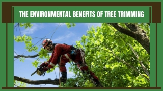 Expert Tree Trimming and Pruning