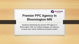 Premier PPC Agency In Bloomington MN