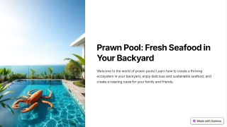 Prawn-Pool-Fresh-Seafood-in-Your-Backyard