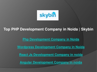Top PHP Development Company in Noida  Skybin