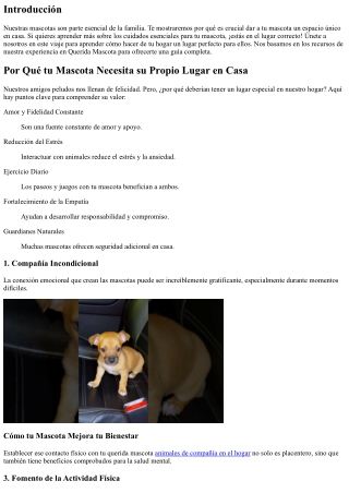 ¿Por Qué tu Querida Mascota Merece un Lugar Especial en tu Hogar?