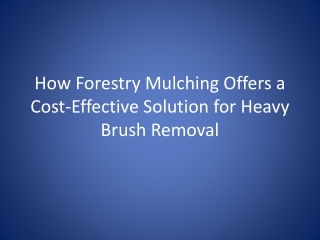 How Forestry Mulching Offers a Cost-Effective Solution for Heavy Brush Removal
