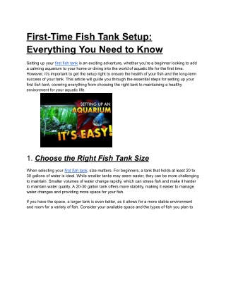 Setting Up Your First Fish Tank? Here’s How to Prepare It Perfectly