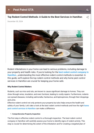 Top Rodent Control Methods A Guide to the Best Services in Hamilton