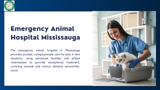 Emergency Animal Hospital Mississauga
