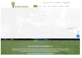 Leading Tree Company in Sacramento for All Your Tree Needs
