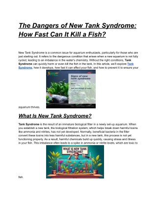 Understanding How Fast Will New Tank Syndrome Kill a Fish?