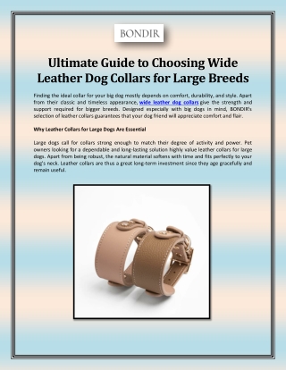 Ultimate Guide to Choosing Wide Leather Dog Collars for Large Breeds