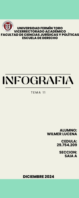 TEMA 11 INFORMATICA JURIDICA WILMER LUCENA