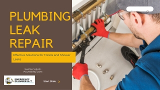 Affordable Plumbing Leak Repair for Your Bathroom