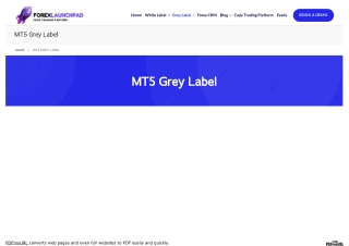 Mt5 grey label solution