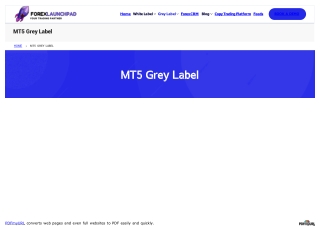 Mt5 grey label solution