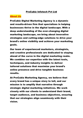 ProCubiz Infotech Pvt Ltd