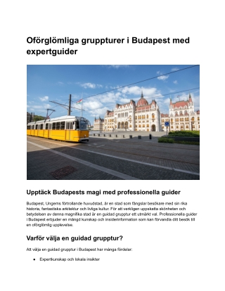 Guided tour in Budapest