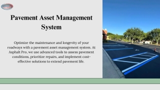 Pavement Asset Management System