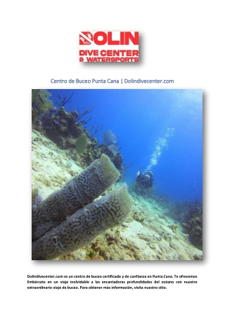 Centro de Buceo Punta Cana | Dolindivecenter.com