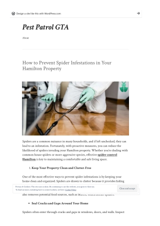 How to Prevent Spider Infestations in Your Hamilton Property