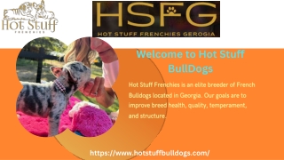 Puppy Safe Devices for Happy & Healthy Pups | Hot Stuff Bulldogs