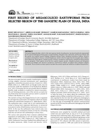 download - 2024-12-06T133209.792