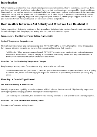 “How Weather Influences Ant Activity and What You Can Do About It”