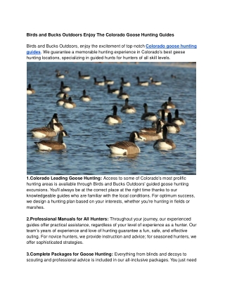 Birds and Bucks Outdoors Enjoy The Colorado Goose Hunting Guides
