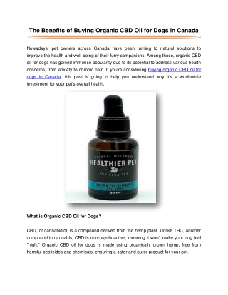The Benefits of Buying Organic CBD Oil for Dogs in Canada
