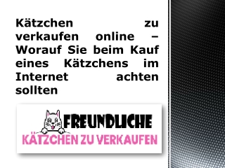 Kätzchen zu verkaufen online – Worauf Sie beim Kauf eines Kätzchens im Internet achten sollten