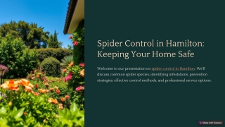 Spider Control Hamilton
