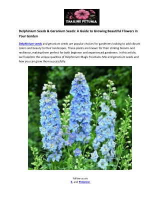 Trailing Petunia - Delphinium Seeds