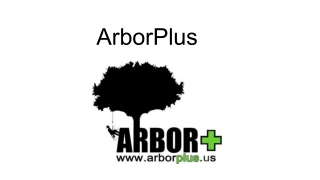 Tree Cutter Services Near Me_ ArborPlus Ensures Your Trees Are in Good Hands