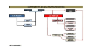 ESTRUCTURAS DE LAS TRANSACCIONES