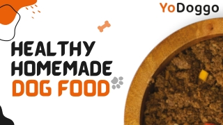 Healthy Homemade Dog Food: A Complete Guide to Nutritious Meals for Your Pet