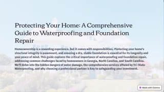 Comprehensive Home Protection Guide: Foundation, Basement, and Crawl Space