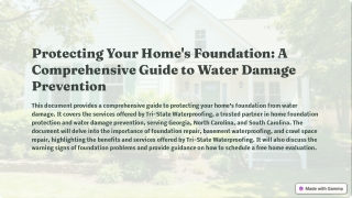Protecting Your Home's Foundation: A Homeowner's Comprehensive Guide to Water Da