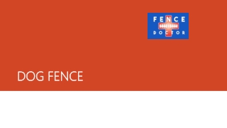 Safe and Secure Dog Fences in Columbus Ga & Phenix City, AL