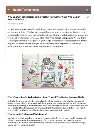 Why Bagful Technologies is the Perfect Partner for Your Web Design Needs in Noid