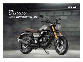 TVS Ronin 225 Motorcycle Overview
