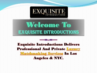 Professional Matchmaking Services