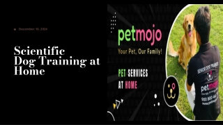 Dog Training at Home