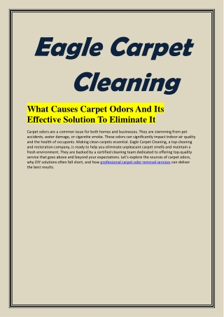 What Causes Carpet Odors And Its Effective Solution To Eliminate It